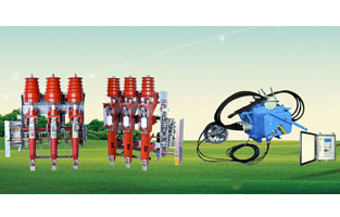 關(guān)于高壓負(fù)荷開(kāi)關(guān)前面雷爾沃電器已經(jīng)為大家整理了不少知識(shí)，不知道你對(duì)柱上負(fù)荷開(kāi)關(guān)有了解沒(méi)？如今在市場(chǎng)上比較常見(jiàn)的柱上負(fù)荷開(kāi)關(guān)主要是壓氣式負(fù)荷開(kāi)關(guān)以及真空負(fù)荷開(kāi)關(guān)，我們分別來(lái)為大家做一個(gè)比較簡(jiǎn)單的講解。
